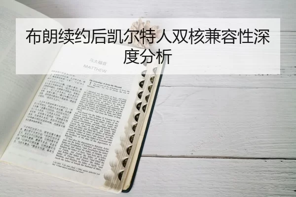 bu-lang-xu-yue-hou-kai-er-te-ren-shuang-he-jian-rong-xing-shen-du-fen-xi-2-649.jpg