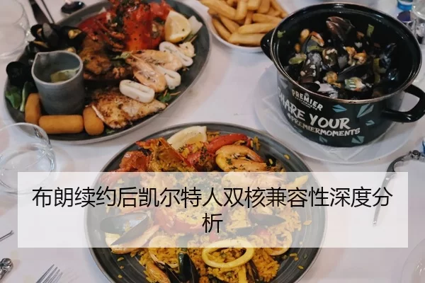 布朗续约后凯尔特人双核兼容性深度分析