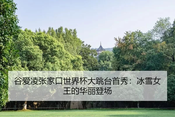 谷爱凌张家口世界杯大跳台首秀：冰雪女王的华丽登场