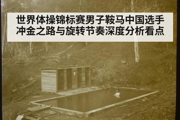 世界体操锦标赛男子鞍马中国选手冲金之路与旋转节奏深度分析看点